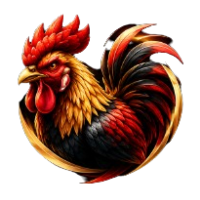 cockfight